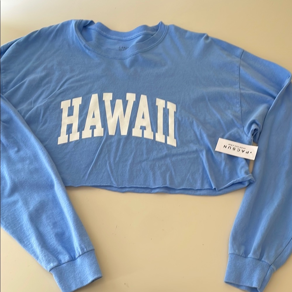 Brandy Melville Hawaii Cropped Tee Shirt Long Sleeve
